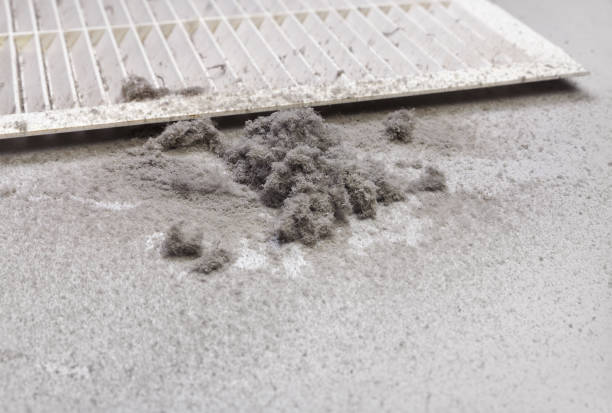 Best Emergency Air Duct Cleaning  in Malabar, FL