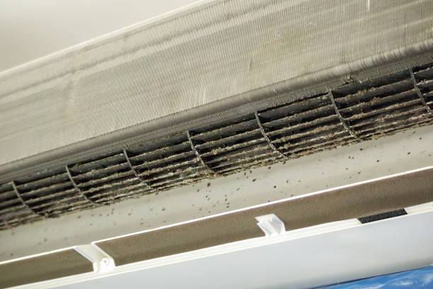 Air Duct Mold Removal in Malabar, FL